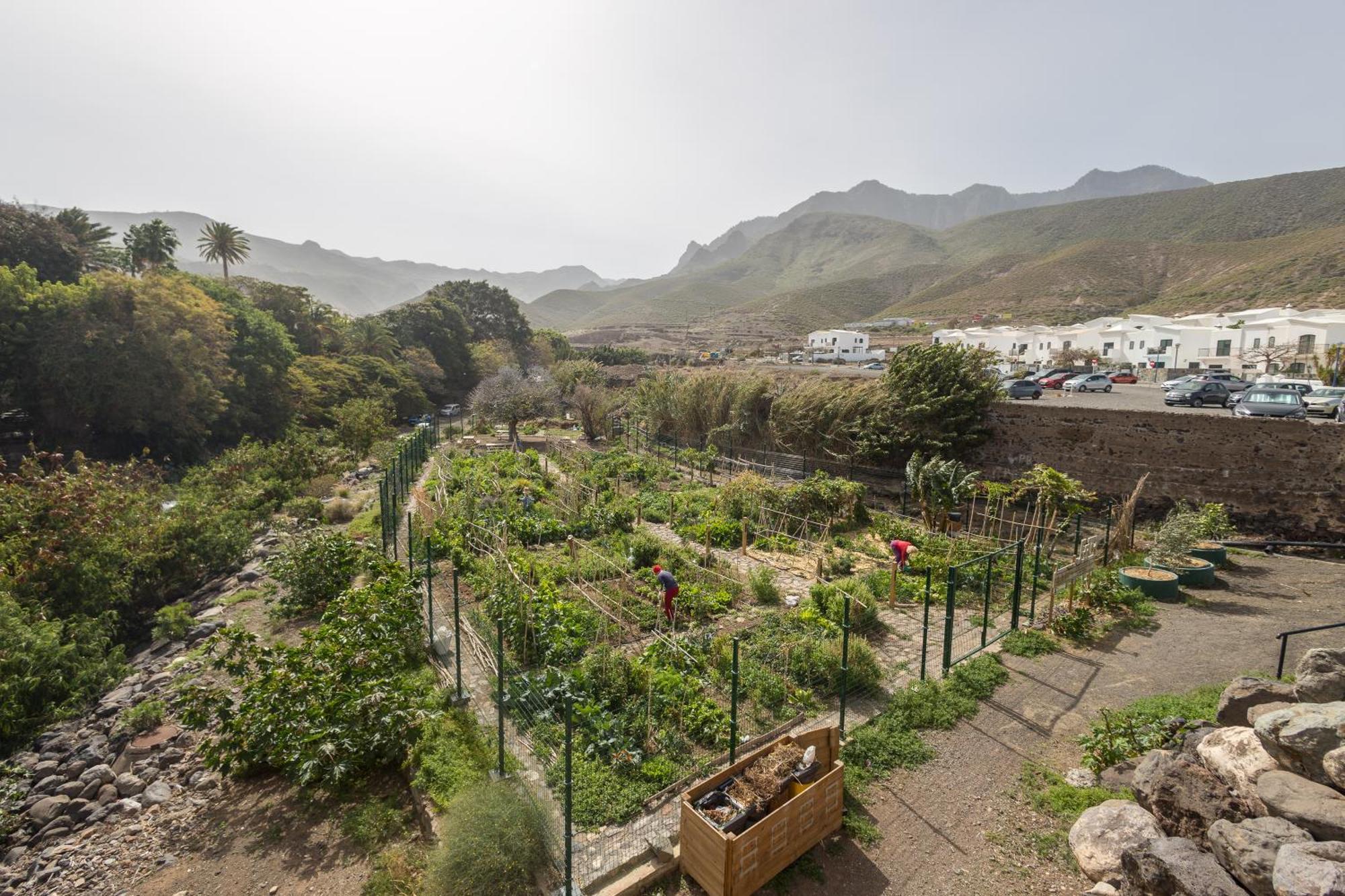 Casa Carmen Agaete Con Terraza Y Vistas Al Mar Daire Dış mekan fotoğraf