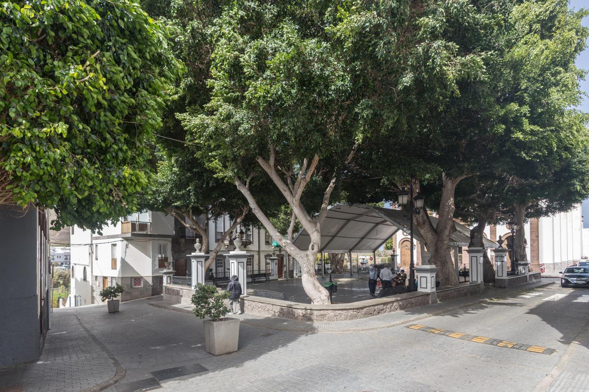 Casa Carmen Agaete Con Terraza Y Vistas Al Mar Daire Dış mekan fotoğraf