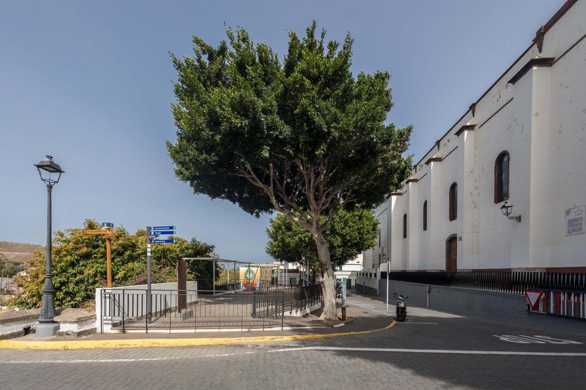 Casa Carmen Agaete Con Terraza Y Vistas Al Mar Daire Dış mekan fotoğraf
