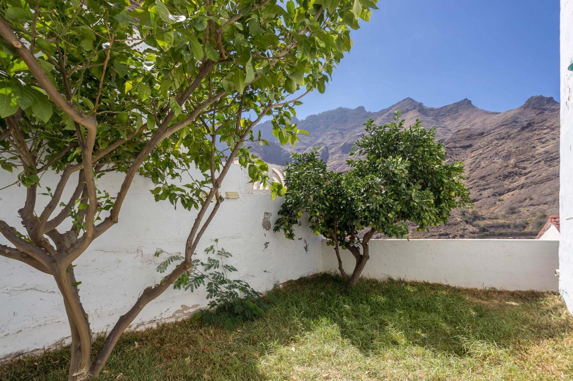 Casa Carmen Agaete Con Terraza Y Vistas Al Mar Daire Dış mekan fotoğraf