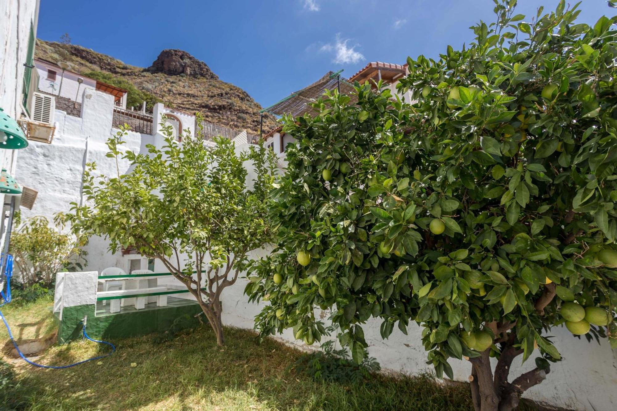 Casa Carmen Agaete Con Terraza Y Vistas Al Mar Daire Dış mekan fotoğraf