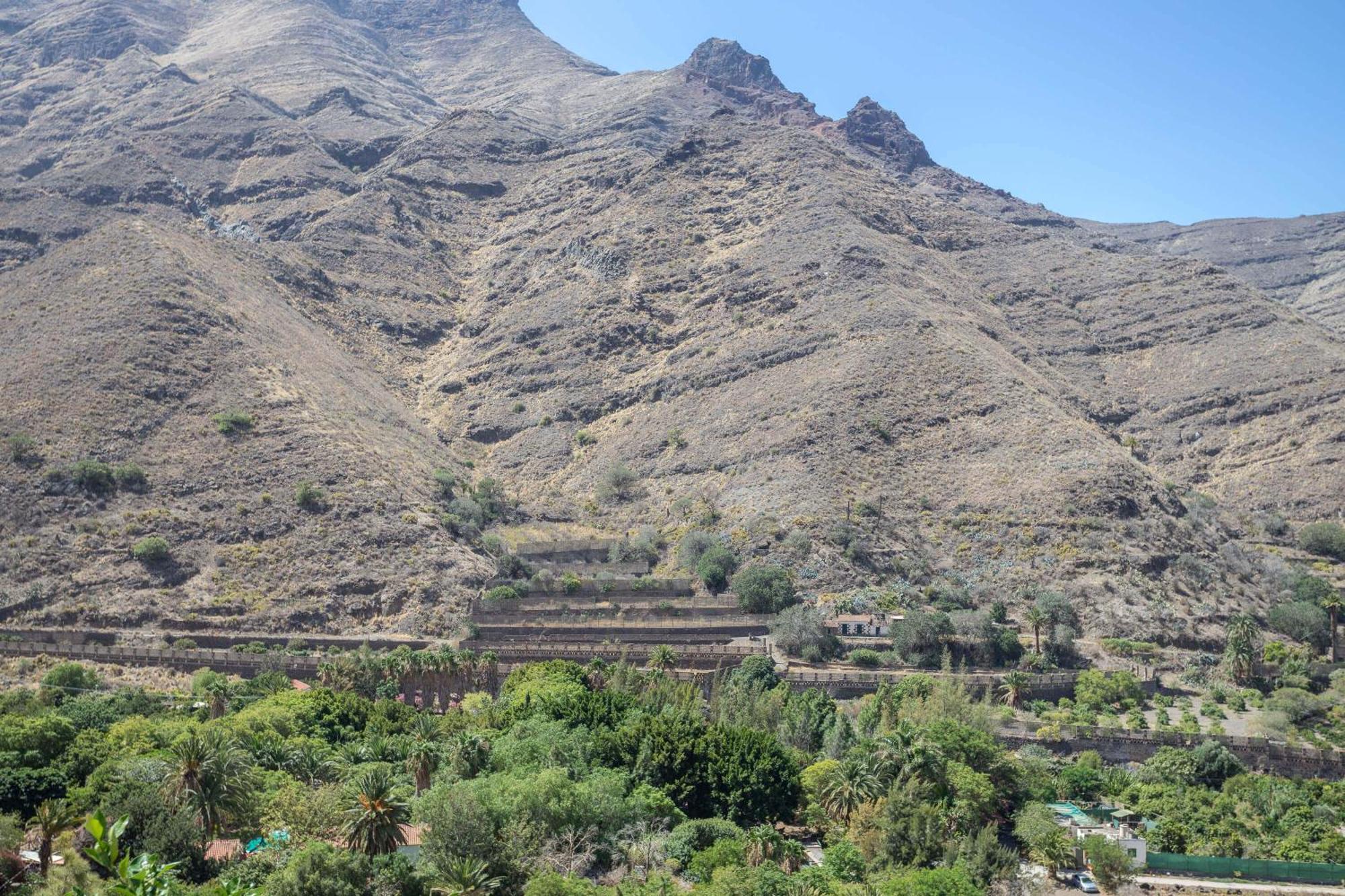 Casa Carmen Agaete Con Terraza Y Vistas Al Mar Daire Dış mekan fotoğraf